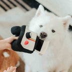 Peluche de fouille - Appareil Photo