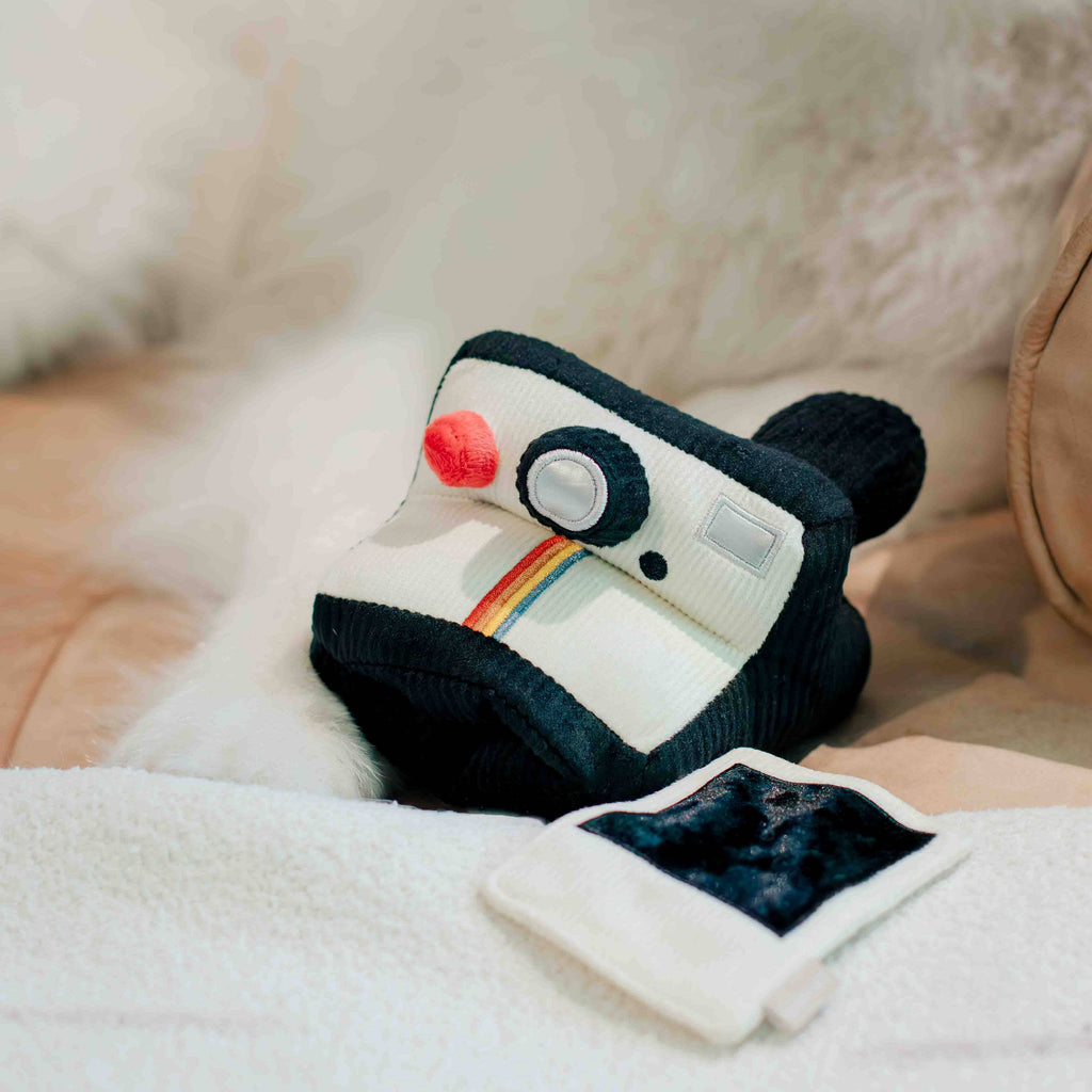 Peluche de fouille - Appareil Photo