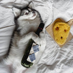 Peluche de fouille - Fromage