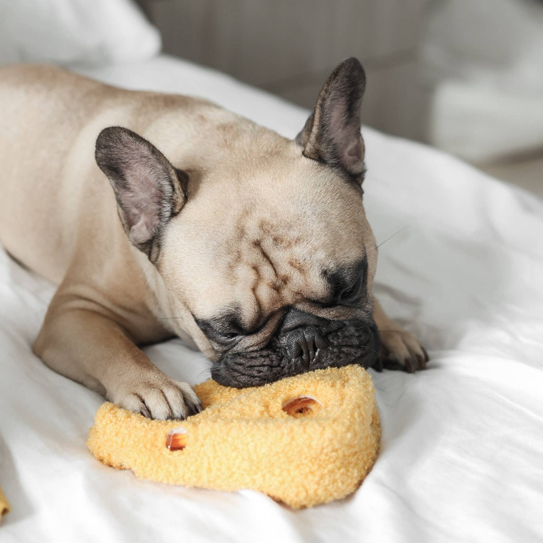 Peluche de fouille - Fromage