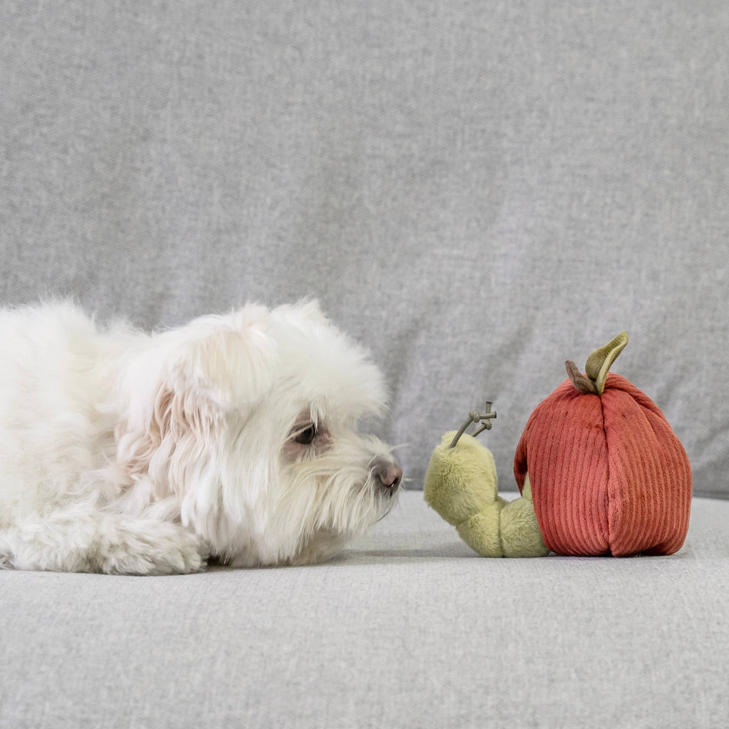 Kit de peluches de fouille - Fruits