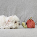 Kit de peluches de fouille - Fruits
