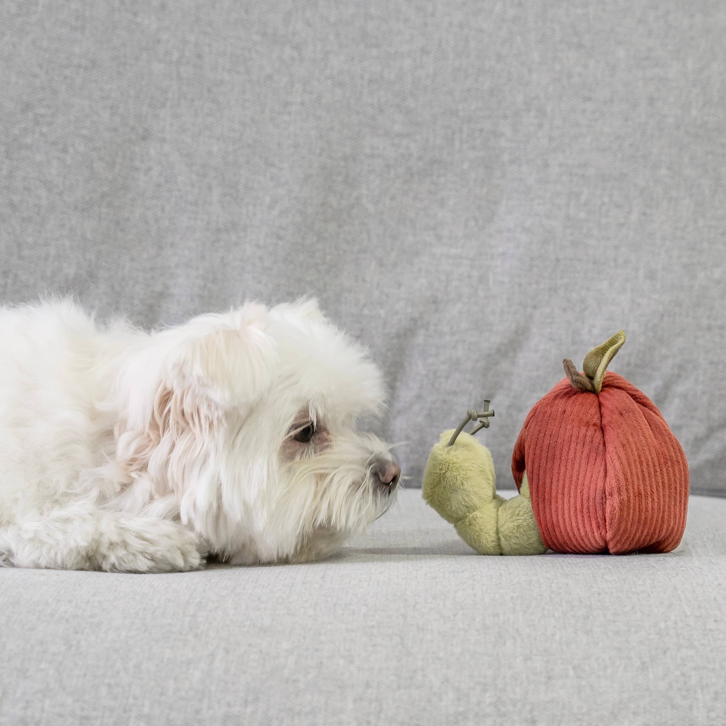 Kit de peluches de fouille - Fruits