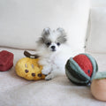 Kit de peluches de fouille - Fruits