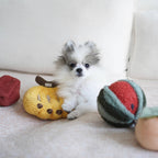Kit de peluches de fouille - Fruits
